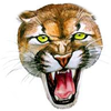 Small_1513280619-aquilla_cougar_logo